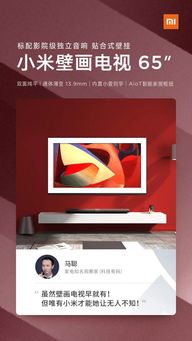 专业人士这样评价小米小米壁画电视 网友 难怪这么火爆