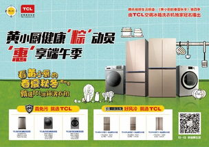 黄小厨 粽 动员 机智主妇都选tcl冰箱洗衣机